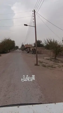 # دير_الزور_البوليل#