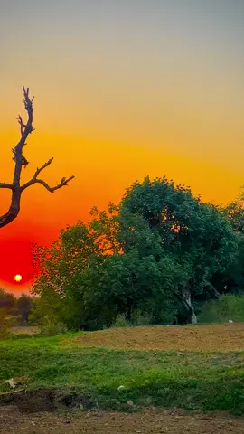 Sham❤️🙂#pindwalay #foryoupage #tiktokpakistan #1millionaudition #communitytiktok 