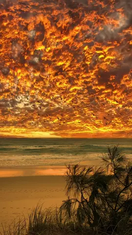 Sunset 🌄 is flying with wild geese, I love it very much, and I love you even more✨#sunset #fyp 