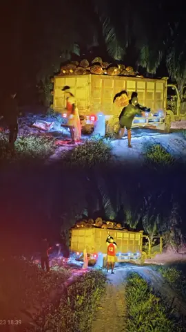 baru kali ni muat malam bolo #fypp 💪🔥🥵😅😎🤟#sawitriau #pemuatsawit #kuliisawitriau #fypp 