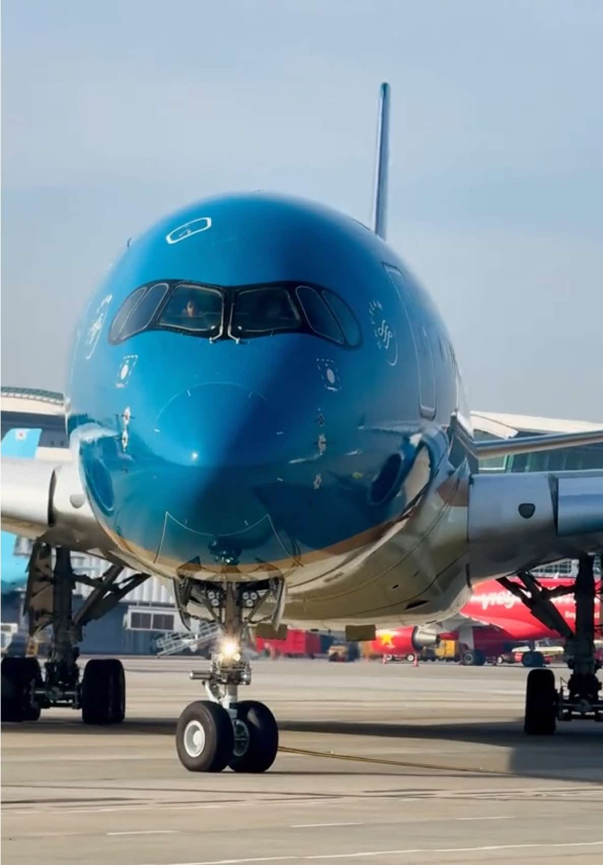 Nàng tiên cánh cong Airbus A350-900 Vietnam Airlines🛫🇻🇳 #airbus #a350 #vietnamairlines 