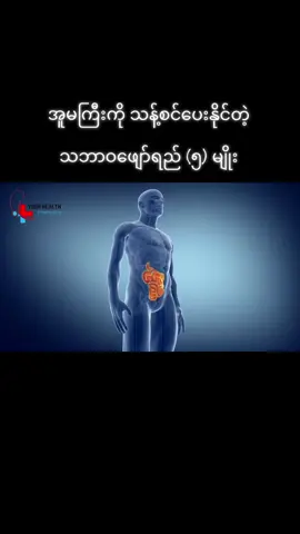 အူမကြီးကို သန့်စင်ပေးနိုင်တဲ့ သဘာဝ ဖျော်ရည် (၅) မျိုး #ကျန်းမာရေးဗဟုသုတ #healthtips #trending #fyp #အူမကြီးသန့်ရှင်းရေး 
