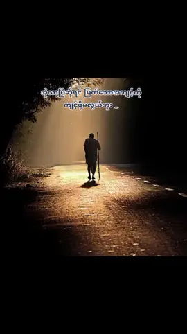 #သစ္စာရွှေစည်ဆရာတော်အရှင်ဥတ္တမ🙏🙏🙏 #တရားတော်များ #foryoupage #tiktok #ဓမ္မရောင်ခြည်✨ 