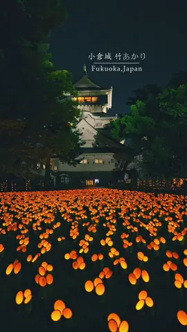 福岡No.1ライトアップが今日からスタート🕯️3万本の竹灯籠が織りなす幻想的な夜　🗓 開催日：2025年10月24日(金)〜11月3日(月･祝) 🕰 点灯：17:30 ／ 消灯：21:00（最終入場 20:45） 🚗 会場：小倉城天守閣前広場・歴史の道 🗓 開催日：2025年10月24日(金)〜11月3日(月･祝) 🕰 点灯：17:30 ／ 消灯：21:00（最終入場 20:45） 🚗 会場：小倉城天守閣前広場・歴史の道 📍福岡県【小倉城 竹あかり】 / 🇯🇵Fukuoka Prefecture【Kokura Castle Take-Akari】 幻想的な光に包まれる小倉城。 竹のぬくもりと灯りが作り出す静かな秋のひとときを。 心が穏やかになる幻想的な世界が広がります。 竹の灯りが描く秋の夜の物語を、ぜひその目で。 Let the gentle glow of 30,000 bamboo lanterns guide you through a magical autumn night at Kokura Castle — from October 24 to November 3, 2025. 🎥Reel → @reo___film 📸 LUMIX S1RⅡ / S5Ⅱ #小倉城#福岡#北九州#fukuoka 
