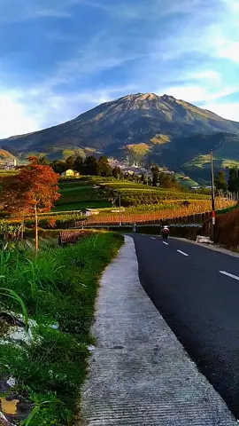 #ngelencer🏃🏻💗 #gunungsumbing #wisatamagelang #magelangexplor #fypviralシ゚viral 
