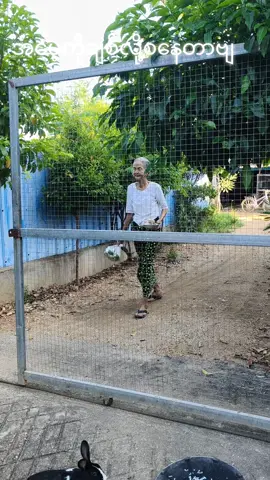#tiktok #myanmar #အောင်စိုး 