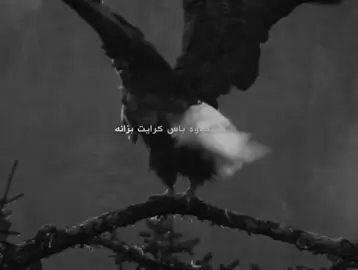 شلون لي فارک بلد🖤’ #fyp #viral #foryoupage #foryou 