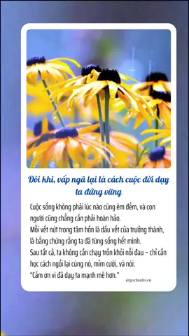 Đôi khi vấp ngã lại là cách cuộc đời dạy ta đứng vững #tamtrang #chualanh #foryou #binhyen #xuhuong #hanhphuc 