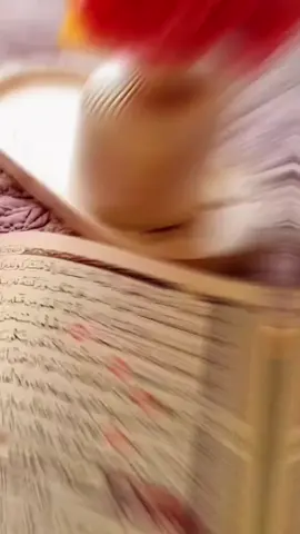 لا اله الا الله محمد رسول الله 