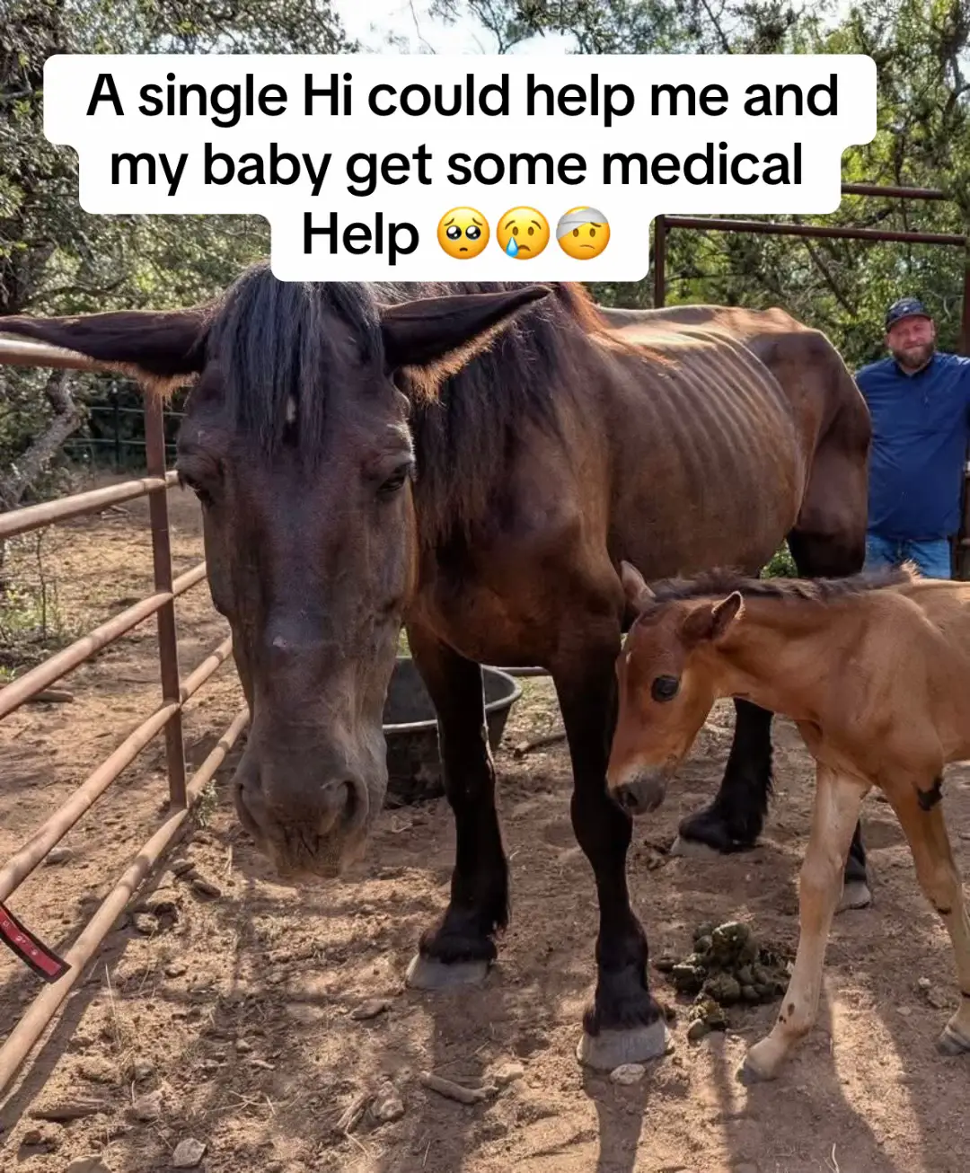 A single Hi could help me and my baby get some medical Help 🥺😢🤕 #trend #fyp #horse #Love #tiktok #fyppppppppppppppppppppppp #reels #page #fypシ #sad 