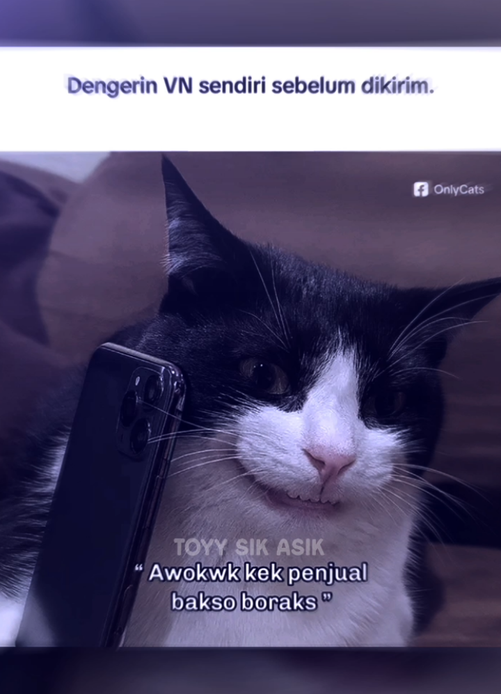 Dengerin Vn Sendiri Sebelum Dikirim 😹 #meme #memefb #memefacebook #fypage #lewatberanda 
