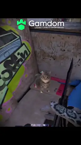 《小镇不阴你玩什么？》#cs2教学 #csgo道具 #cs2道具 #cs2 #csgo   