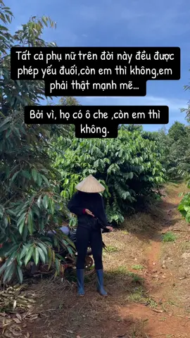 👩‍🌾🌴🌳#cogaitaplamnong #nongdan #saurieng #taynguyen #cafe 