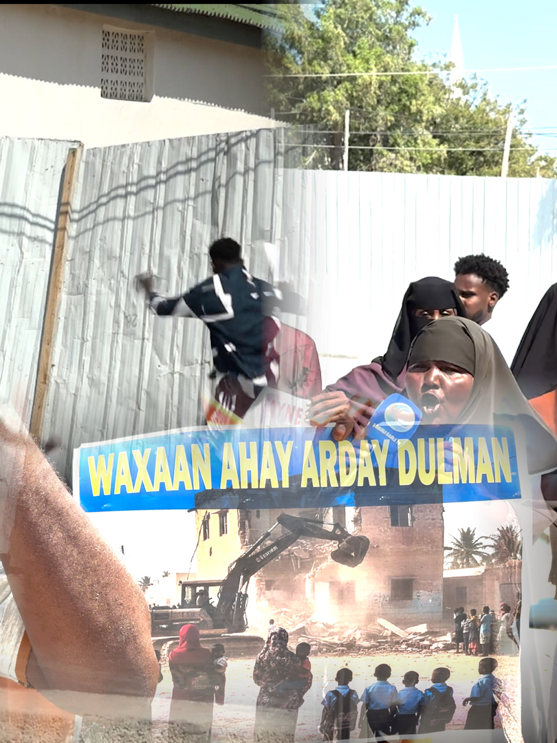 DEGDGE: Shacab Careysan oo banaanbax ka dhigay Dhulkii Xero Kalluun ee laga saaray,haddaba maxey tahay cabashada Shacabka?