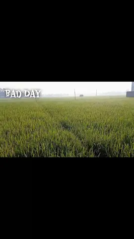 bad day .... #imran #humor #bangladesh🇧🇩 