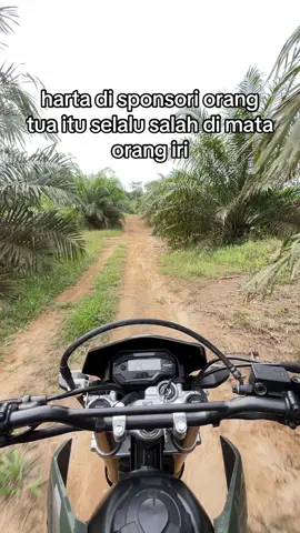 setiap orang ad rezekinya masing-masing #fypagea #petaniindonesia🇮🇩🇮🇩🇮🇩🌿🌿 