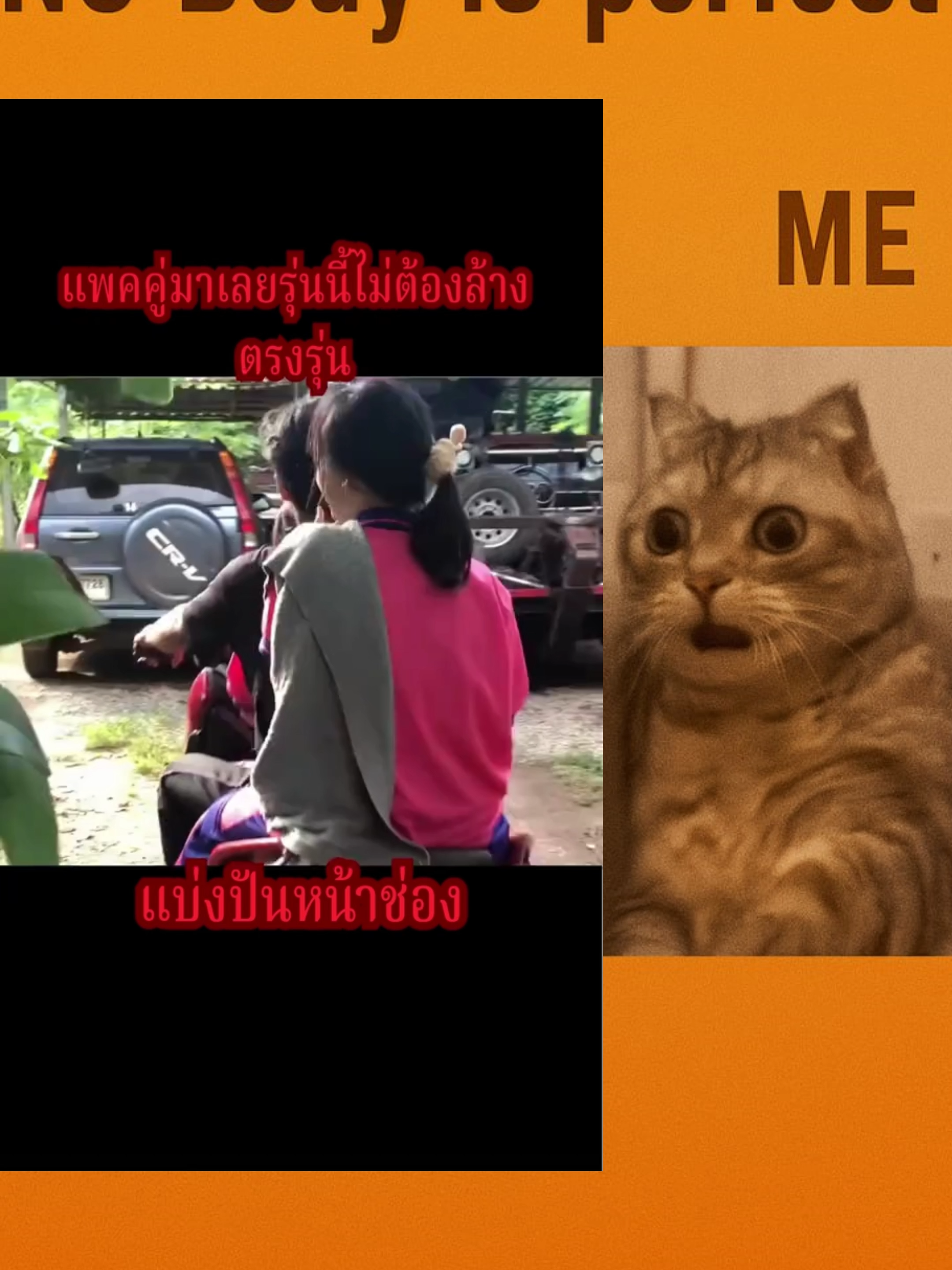 #fypppppppppppppp #ชอบก็ตาม #เปิดการมองเห็นtiktok #fypシ゚ #ฟีดดดシ