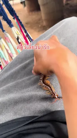 เกือบขิด