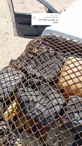 الرد على @user2555114608530 #تابعوني_فضلا❤ #تيوتا_شعار_لايعرف_القانون🔥🖤💪 #تيوتا_ياكبدي_ #تبسة_بئرالعاتر_الشريعة_الجزائر 