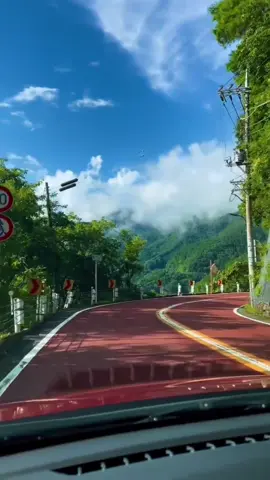 #fpyシviral #catsoftiktok #catrachaaguilar2tiktok 