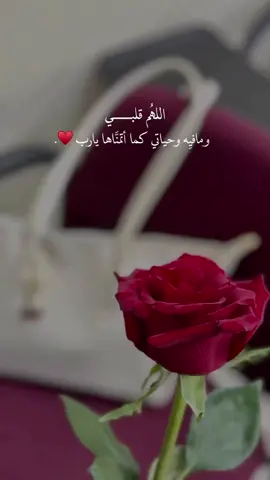 #اكسبلور 