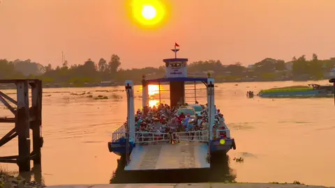 Cảnh đẹp miền Tây. 66dongthap.#canhdepthiennhien❤ 