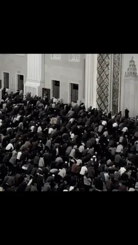 #dakwah #islam #fyp #ustadzadihidayat 