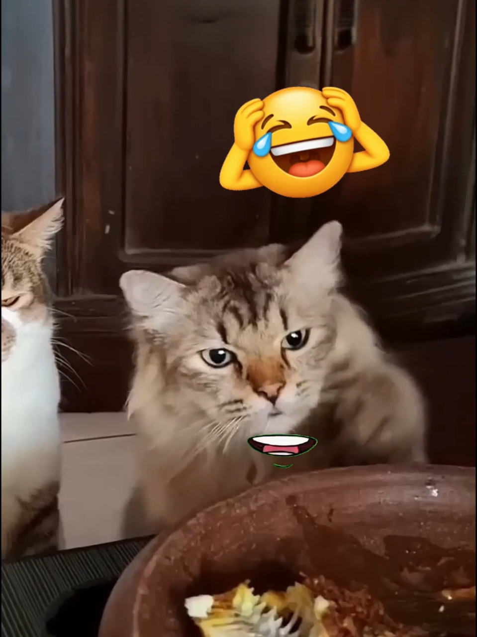 Animal funny mind voice  #creatorsearchinsights #dubbing #tamil #animal #reels @Madursh @ᴍᴜꜱɪᴄ-ɪɴꜰɪɴɪᴛʏ 