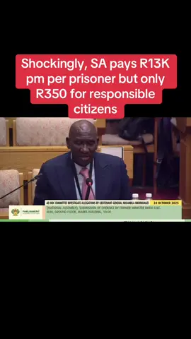 General Bheki Cele shocks the Adhoc Committee by revealing that our system pays R13K for one prisoner per month but only R350 for a responsible citizen who never committed any crime. Cele is appearing before the SA parliament’s Adhoc Committee on SAPS and interference. #bhekicele #adhoccommitte #southafricatiktok🇿🇦 #SAPS #SenzoMchunu 