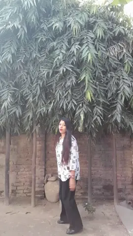 #creatorsearchinsights #trending #viral #fyp #foryoupage