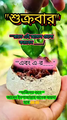 শুক্রবার রাতে এই আমল গুলো করবেন এবং এ-র ফজিলত শুনে জাবেন ইনশাআল্লাহ অনেক ফয়দা হবে 🤲🤲🤲