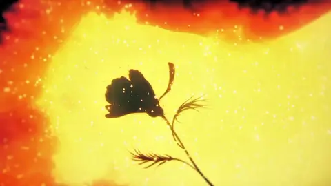 #kobayashidragonmaid #kobayashi #kanna #saikawa 