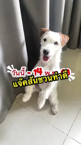 แคมเปญดีๆที่แจ๊คสันอยากบอกต่อ มาร่วมทำดีกับ PawChoice กันคับ #PawChoice #คิดทุกคำเพื่อเจ้าสี่ขา  #อาหารสุนัขเกรดพรีเมียม