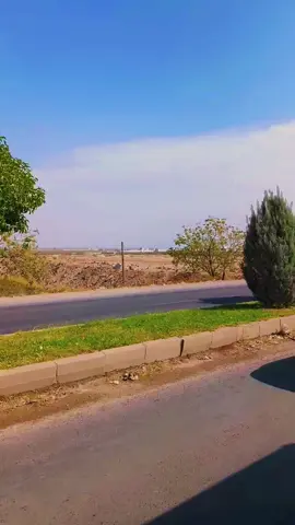 #شسويت_بيه_انته_شسويت #سعدي_الحلي #اورفا #العراق #ديرالزور_الرقه_الحسكة_حلب_منبج 