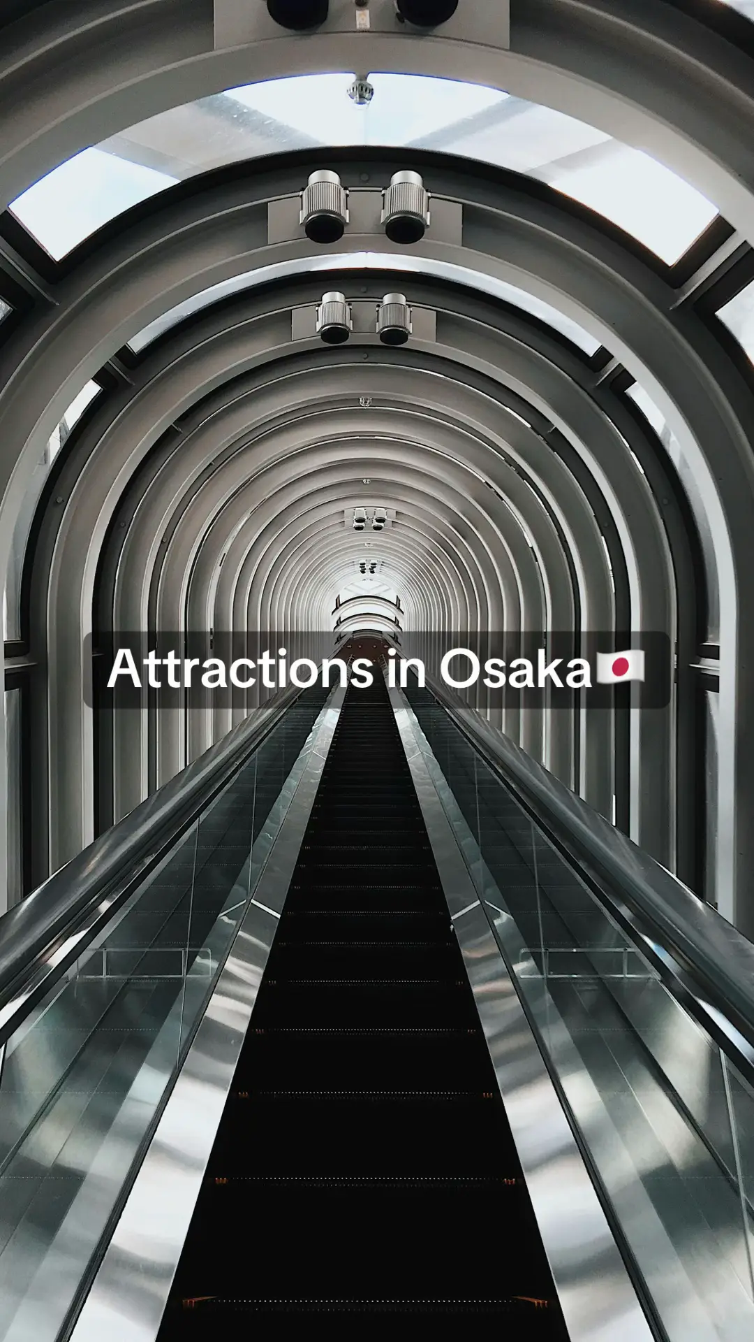 Have you been to Osaka? #japan #travel #osaka #nature #foryoupage❤️❤️ 
