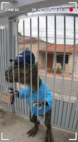 dinossauro entregando na Amazon 😂😂😂 #dinossauro #meme #fy #foryou #amazon 