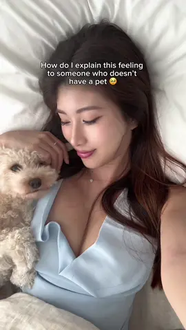 my precious baby 🥹 #puppy #dogmom #needydog #cute #fyp 