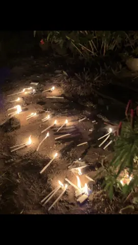 Free to use! #freetouse #makeitvirаl #fyp #livephoto 