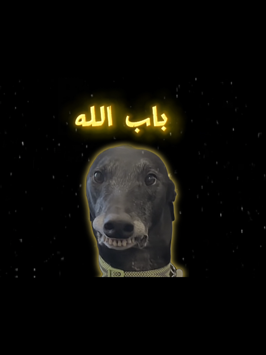 سوي تاك صاحبك لا شغل ولا عمل 🗿 #شعب_الصيني_ماله_حل😂😂😂 #مصمم_فيديوهات🎬🎵 #ميمز #fyp 