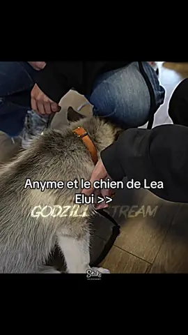 Elle est si belle #gpexplorer #anyme #anyme023 #leaelui 