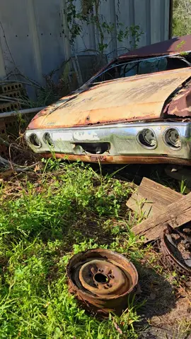 Got a free 72 chevelle with the Nomad purchase... now we have to get it out. #carsoftiktok #onlydansimports #chevy #chevelle #junk 