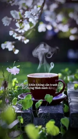 #CapCut Càng khôn càng ít nói #nhactamtrangbuon1233 #tamtrang #nhactamtrang #nhachaymoingay 