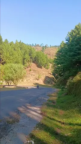 #fypシ゚ #naturalbeauty #وائرل_ویڈیو #وڈیو_اچھی_لگے_تو_❤️کردینا #fypシ゚ 