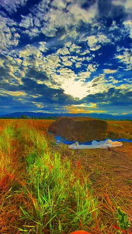#วิวบ้านนอก🍃 #ท้องฟ้า⛅🌈 #รับชื้อตับยุง #เธรด 