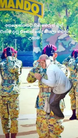 #Meme #MemeCut #CapCut #commando #විශිෂ්ටයින්ගේ_පාරාදීසය #මල_මිනී_නැගිටින_තැන #රතු_ඔටුන්න☠️ #flypシ 