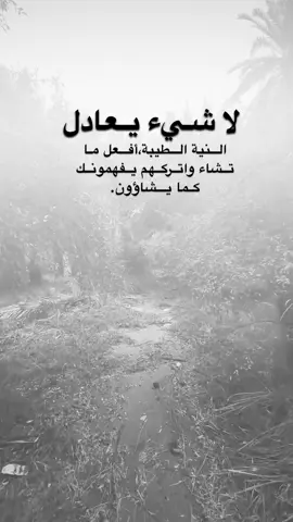 #اقتباسات من الحياة ، لاشيء يعادل النية الطيبة،أفعل ما  تشاء واتركهم يفهمونك كما يشاؤون.#كلمات_من_القلب #اكسبلورexplore #saasa88 #fypシ 