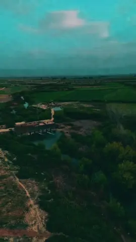 فجر القصير #القصير #foryoupage #hashtag #hashtag #تركيا🇹🇷 