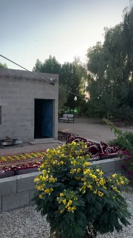 #مساء_الخير #جلسات #المزرعه #👍👍👍 #محمد_المقحم 