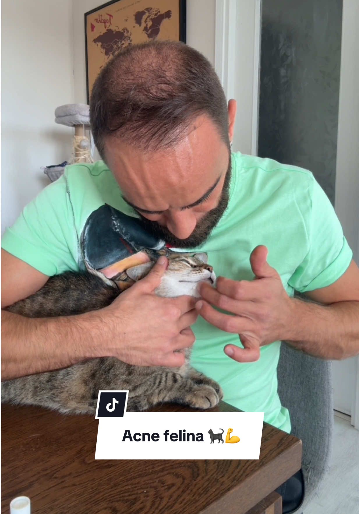 #acnefighter #acneskincare #cat #acnetips 
