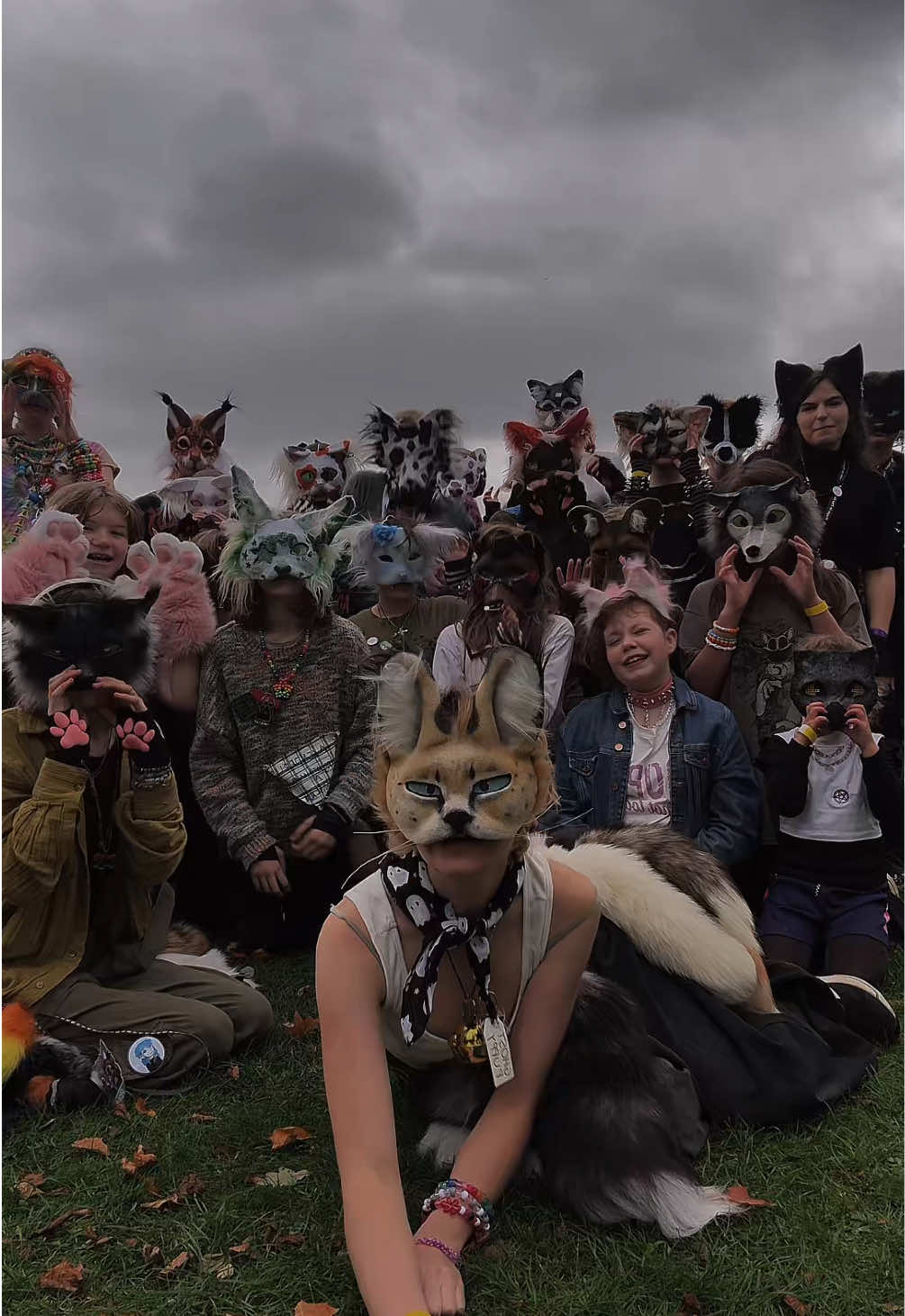 PITBULL TERRIER! 🐾💥// draft from pups in the park - birmingham 2025! //#creatorsearchinsights #therian #quadrobics #cat #fyp 